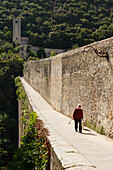 Ponte delle Torri, mittelalterliches Aquädukt aus dem 13.Jhd., Valle Umbra, Franziskus von Assisi, Via Francigena di San Francesco, Franziskusweg, Spoleto, Provinz Perugia, Umbrien, Italien, Europa