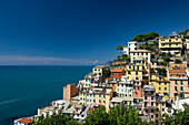 Häuser am Felsen, Riomaggiore, Cinque Terre, La Spezia, Ligurien, Italien