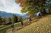 Gruppe wandert bergauf, Thuner See und das Kandertal im Hintergrund, Beatenberg, Berner Oberland, Kanton Bern, Schweiz