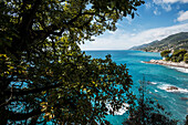 Coastline, Camogli, province of Genua, Italian Riviera, Liguria, Italia