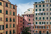 Hausfassaden mit echten und aufgemalten Fenstern, Camogli, Provinz Genua, Riviera di Levante, Ligurien, Italien