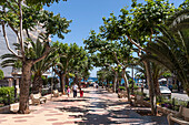 Promenade in Finca, Santa Eularia des Riu, Ibiza, Balearic Islands, Spain