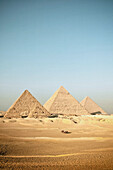 Four camels in front of the pyramids of Giza, Egypt, Africa