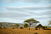 Rundhütten in karger Savanne, Omo Tal, Südäthiopien, Afrika