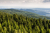 Blick über Fichtenwald auf Vorderen Bayrischen Wald, Maibrunn, Vorderer Bayerischer Wald, Bayern, Deutschland