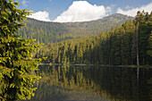 Mountain lake with reflection, Grosser Arbersee, Bavarian Forest, Bavaria, Germany