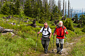 Hikers on the old salt trading route Goldener Steig, Mt. Dreisessel, Bavarian Forest, Bavaria, Germany