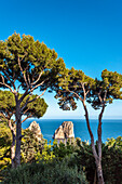 Faraglioni Felsen, Capri, Kampanien, Italien