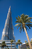Burj Khalifa tower and palm trees, Dubai, United Arab Emirates