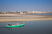 Fischerboot und Seevögel am Strand in der Einfahrt zum Hafen, Porbandar, Gujarat, Indien