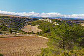 View over the landscape of the Montagne de la Clape near Armissan, Massif de la Clape, Dept. Aude, Languedoc-Roussillon, France, Europe