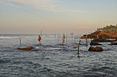 Stillt fishermen in the early morning in front of a rocky coastline near Weligama, South Sri Lanka