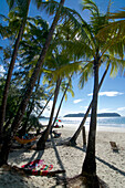 Palmen am Strand, Ngapali, bekanntester Badeort Burmas am Golf von Bengalen, Rakhine, Arakan, Myanmar, Burma