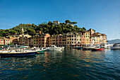 Portofino und Hafen von Portofino, Provinz Genua, Riviera di Levante, Ligurien, Italien