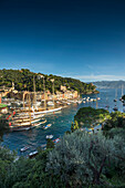Portofino, province of Genua, Italian Riviera, Liguria, Italy