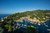 Portofino with view of the harbour, province of Genua, Italian Riviera, Liguria, Italy