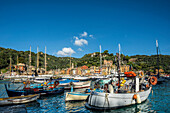 Fishing boats in the harbour, Portofino, province of Genua, Italian Riviera, Liguria, Italy
