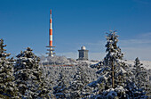 Brockenbahn am Brocken, Harz, Sachsen Anhalt, Deutschland