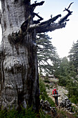 Woman hiking along long-distance footpath Lycian Way, Antalya, Turkey