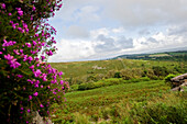 Dartmoor National Park, Devon, South West England, England, Great Britain