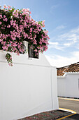 White village, Frigiliana, province of Malaga, Andalusia, Spain