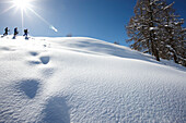 Trekking through deep snow, St. Johann im Pongau, Salzburg, Austria