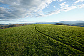 The Appalachian Trail at Max Patch Bald west of Asheville, North Carolina Asheville, North Carolina, USA