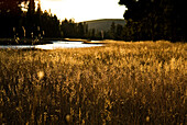 The sunset lights up a field and river in Yellowstone National Park, Wyoming Yellowstone, Wyoming, USA
