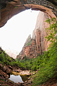A canyoneering man completing a free rappel at the end of Heaps Canyon, Zion National Park, Springdale, Utah Springdale, Utah, USA