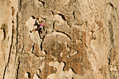 A woman rock climbing in the City of Rocks National Reserve, Almo, Idaho Almo, Idaho, USA