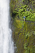 A woman hiking along trail blasted into a hill behind a waterfall on the Pacific Crest Trail, Oregon Eagle Creek, Oregon, USA