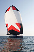 A crew races a modern ocean-going sailing yacht under spinnaker Boothbay Harbor, Maine, USA