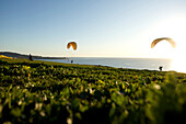 Low angle of one paraglider landing and the other taking off at the paragliding port in Torrey Pines, San Diego, California, San Diego, California, USA