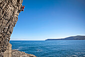 A woman is climbing a rockface on the Tasman Peninsula, Tasmania, Australia Tasmania, Australia