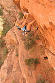 A rock climber ascends a red rock face in Nevada Las Vegas, Nevada, USA