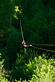 A man zips through the forest canopy during a forest tour near Asheville, North Carolina Asheville, North Carolina, USA