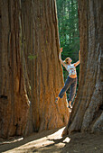 A young woman connects with a large redwood tree CA, USA