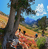 Hikers in Grand Teton National Park, Wyoming, Wyoming, USA