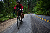 A male cyclist climbs his way up the Generals Highway while riding through Sequoia National Park, California Sequoia, California, United States of America