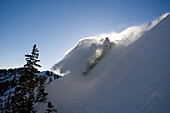 A man getting covered by powder snow Utah, USA