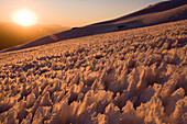 A snow field of penitentes-a conditon caused by differential melting- on Volcan San Jose in the Andes mountains of Chile, Volcan San Jose, Chile