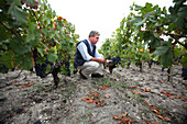 Man in Bordeaux, Leognan, Bordeaux, France