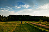 A young man strolls down a grassy road during the evening light outside Acadia National Park, Maine Acadia National Park, Maine, USA