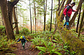 Hikers walk down logs and up the trail from Third Beach, Olympic National Park, Washington Olympic National Park, Washington, USA