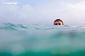 split level view of a man swimming at Rocky Point, on the north shore of Oahu, Hawaii north shore of Oahu, Hawaii, USA