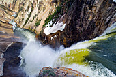 Lower Yellowstone Falls cascades into the valley below in Yellowstone National Park, Wyoming Yellowstone National Park, Wyoming, USA