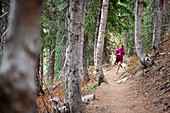 A woman trail running through the woods of Solitude ski resort