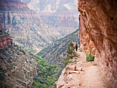 North Kaibab Trail, Grand Canyon National Park, Arizona, Arizona, United States