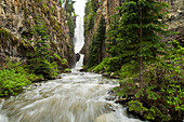 Ames Falls, Lake Fork Creek, Uncompahgre National Forest, Ames, Colorado(blurred motion)., Ames, Colorado, usa