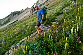 A man hiking through wildflowers, White River National Forest, Aspen, Colorado., Aspen, Colorado, usa